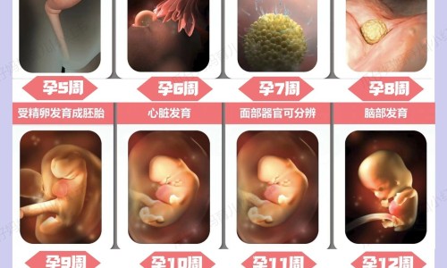 蔓越莓浓缩软胶囊功效网 - 为你提供蔓越莓固体饮料功效与作用、NaturalFactors蔓越莓浓缩物